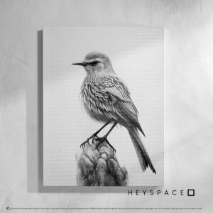Monochrome Starling