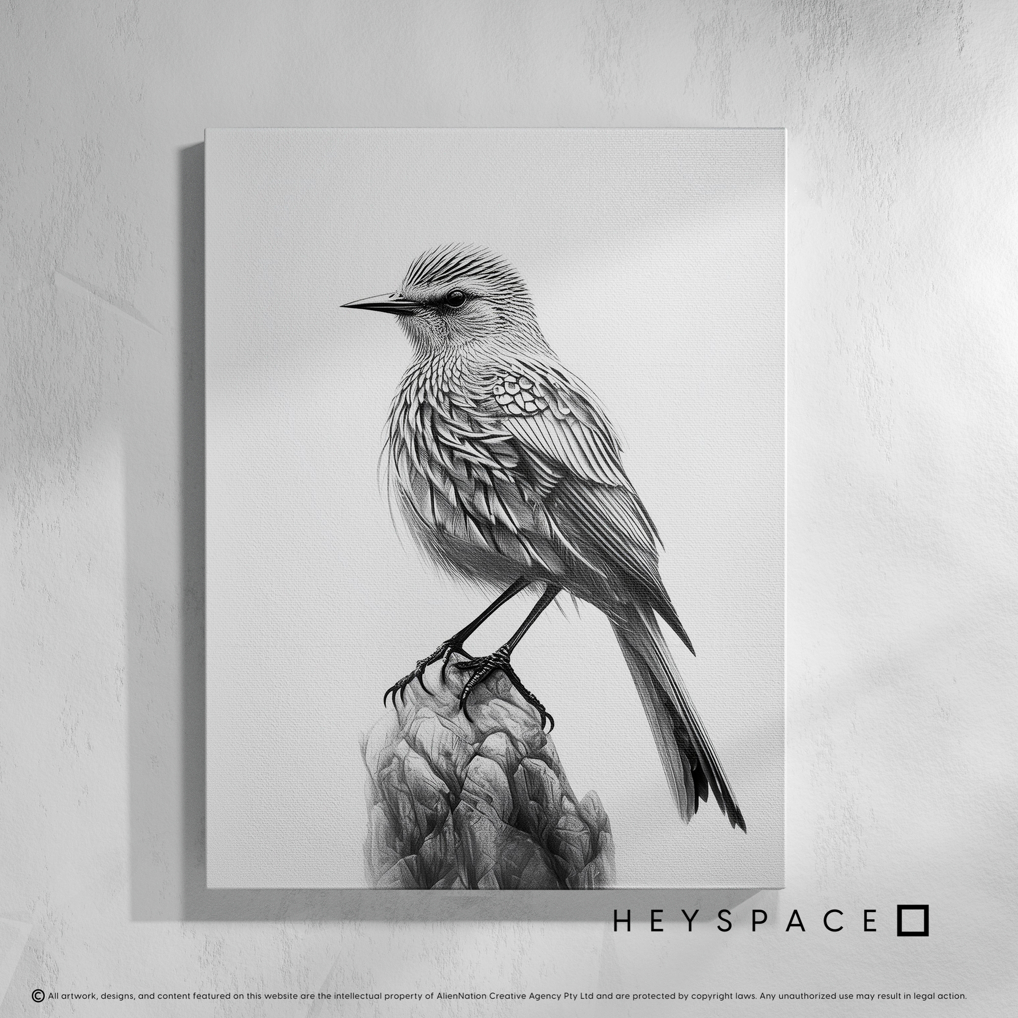 Monochrome Starling