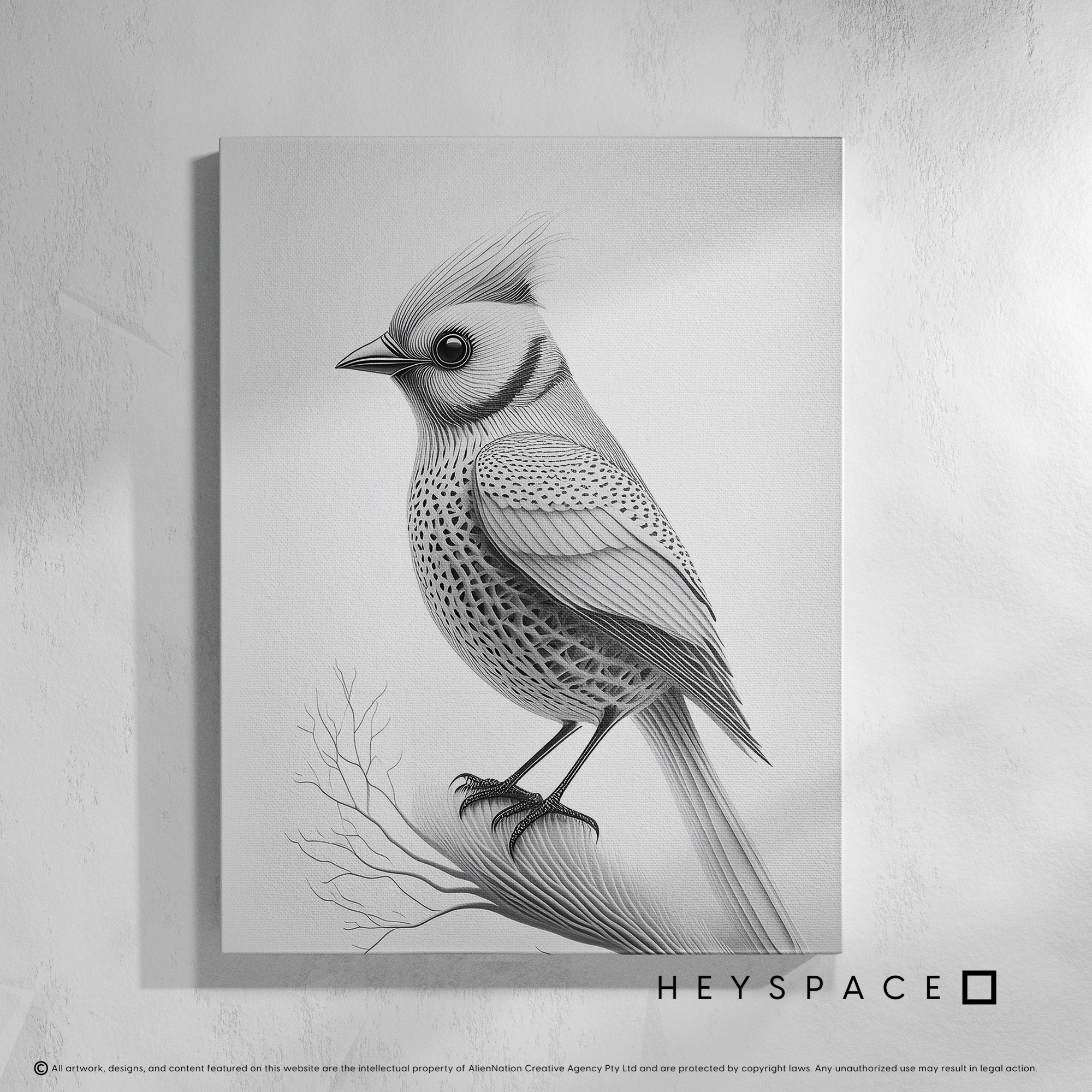 Monochrome Crested Tit